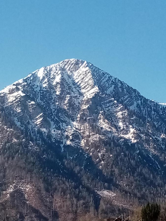 Ausseer Kleeblatt Bad Aussee Exteriör bild